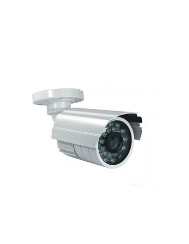 DM-556CG 1/3 700TVL