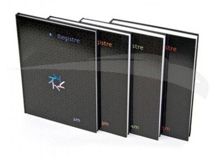 REGISTRE 4 MAINS -EXPRESS OFFICE 5*5 mm 384 PAGES