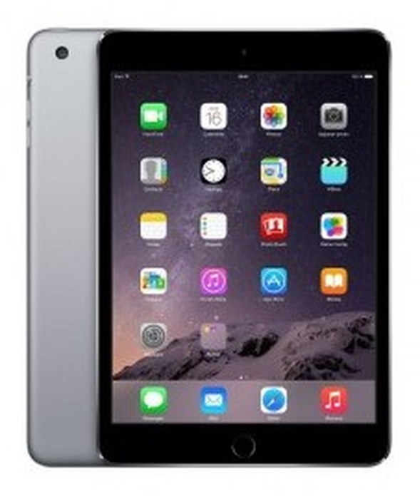 iPad mini 316GB Space Gray/Silver