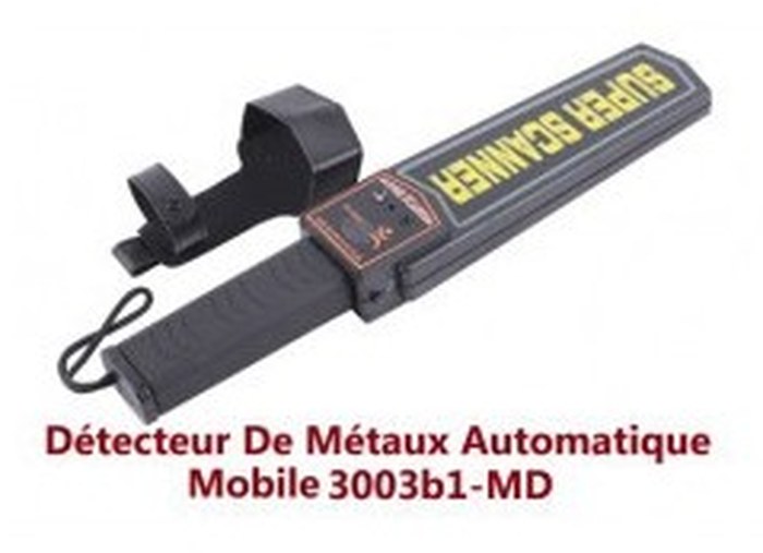 detecteur de metaux