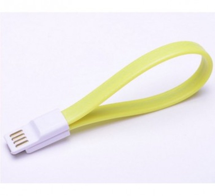 Câble Fonemax X-Cable Lightning vers USB pour iPad, iPod ou iPhone - 20 cm
