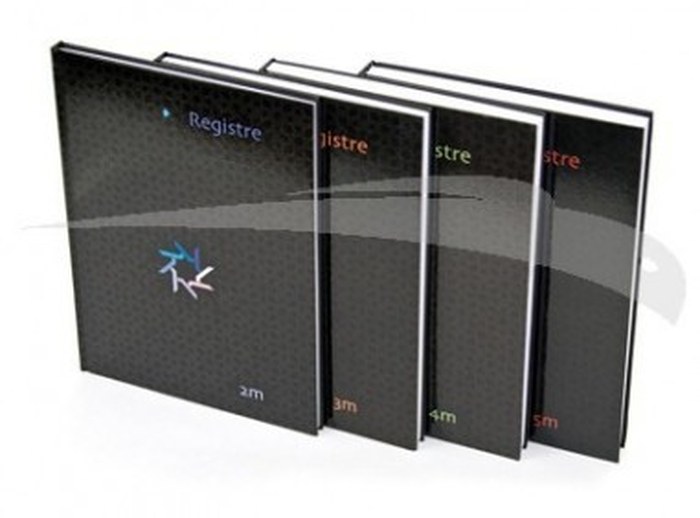REGISTRE 5 MAINS -EXPRESS OFFICE 5*5 mm 480 PAGES