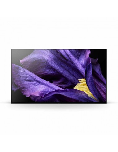 Téléviseur OLED SONY KD-65A9F