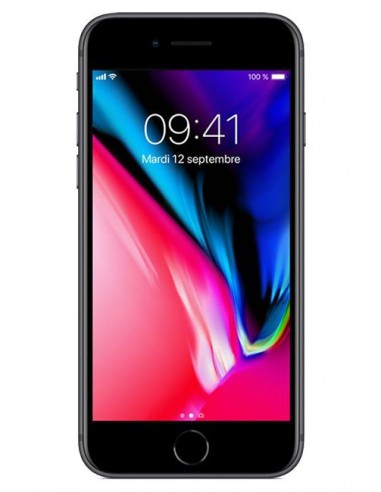 iPhone 8 2017 /Gris /4.7Pouce /2 Go /256 Go /12 Mpx