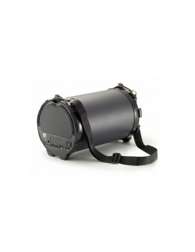 haut-parleur actif sans fil