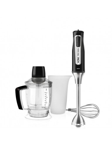 Mixeur plongeant SOLAC PRO PLUS BAPI
