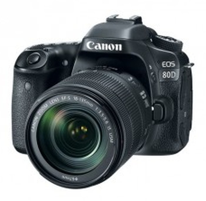 Appareil photo Compact Canon EOS 80D (1263C011AB)