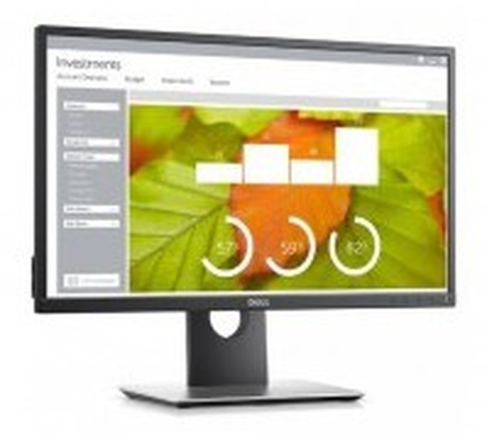 Dell 24 Moniteur P2417H 60.5cm (23.8) Noir