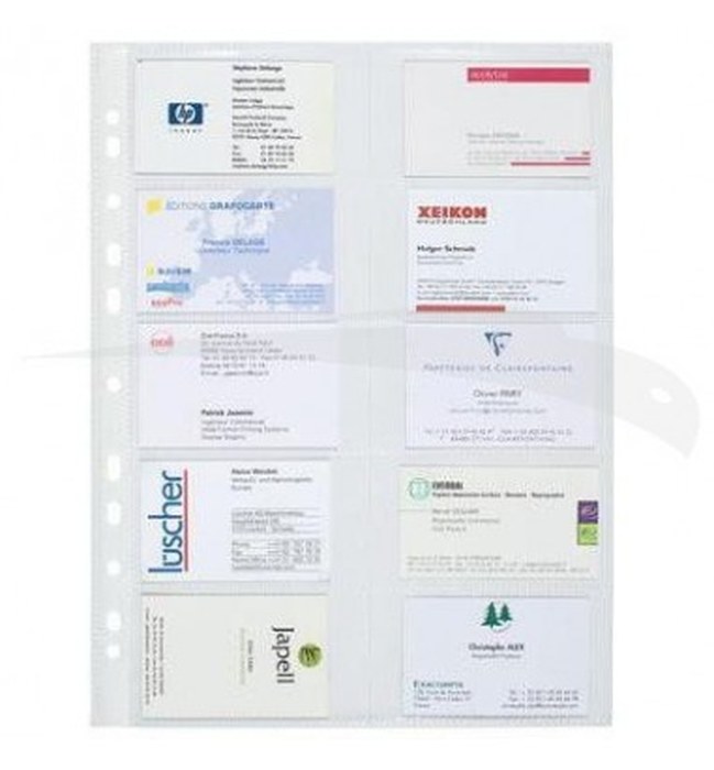 10 POCHETTES PERFOREES - EXACOMPTA - cartes de visite- A4