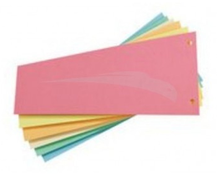 Intercalaire Neutre Format 10*24 cm - Lot de 100 Intercalaires