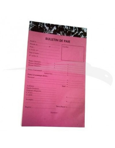 MANIFOLDS \" BULLETIN DE PAIE \" - 50 FEUILLES - 19 x 12,5 cm - Lot de 5 manifolds