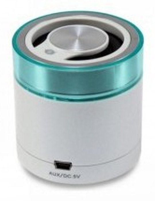 ENCEINTE Stéréo portable