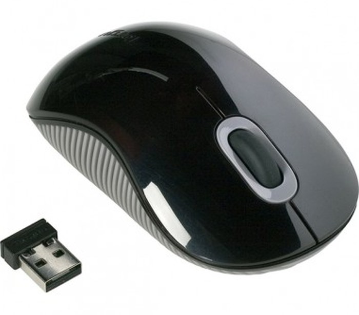 Mini Souris sans fil Noir