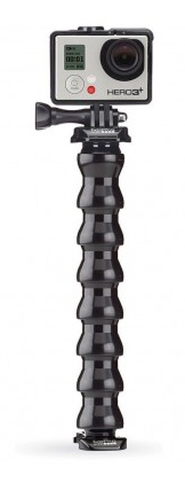 Gooseneck