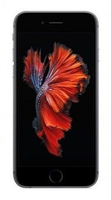 iPhone 6 32 Go /4.7Pouce /Gris /Écran Retina HD /750 x 1334 pixels /326 ppp /IPS /Dual-Core /1.4 GHz /1 Go /8 Mpx /Apple iOS 8