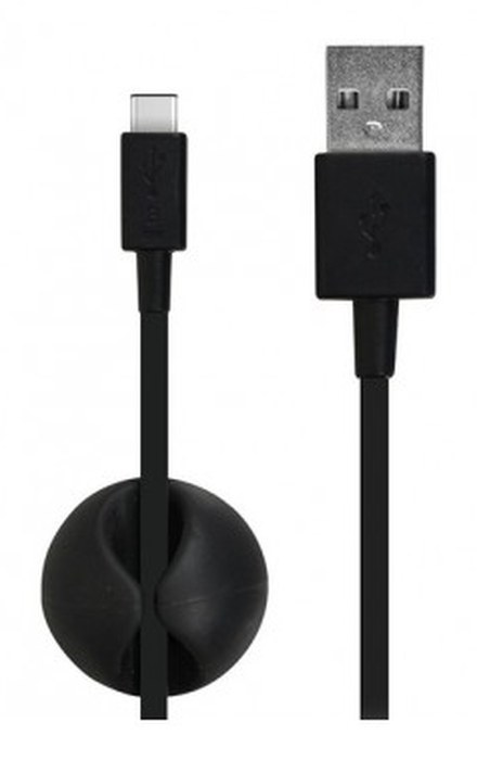 Câble type C 1M