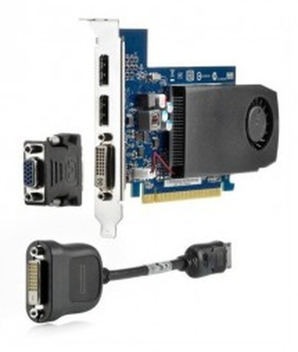 Carte graphique NVIDIA GeForce GT630 DP 2 Go PCIe x16 (B4J92AA)