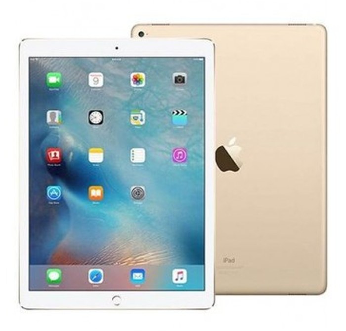 iPad Pro 256 Go /WiFi /8 Mpx /Gold /12,9 Pouces