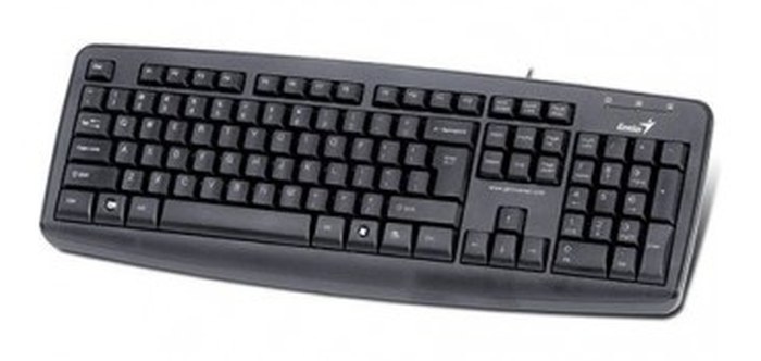 Clavier GENIUS KB-110X /USB /Azerty /Noir