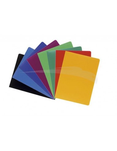 PORTES-VUES - EXACOMPTA - 100 Vues A4 - Lot de 12 Porte-vues