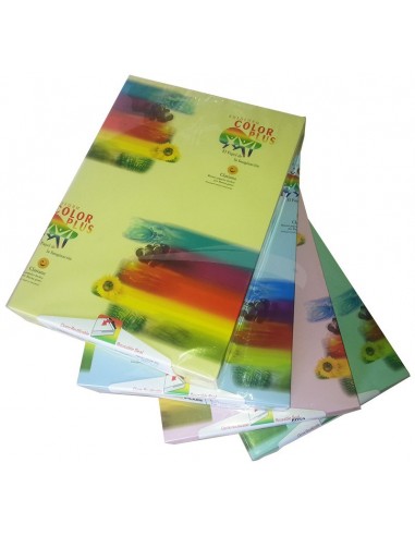 RAMETTE PAPIER COULEUR - CLARIANA - PASTELLE