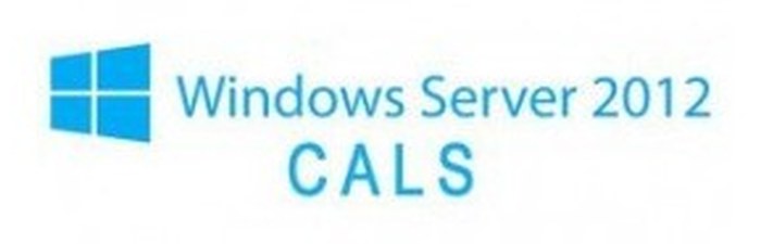 Microsoft ® Windows ® Server