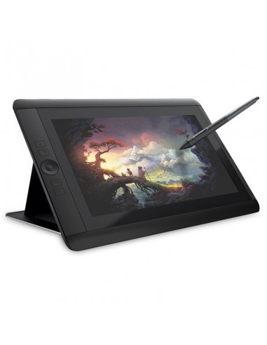 Tablette graphique professionnelle Wacom Cintiq 13HD (DTK-1300-2)