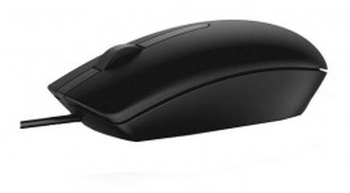 Souris Dell MS116 - Optique USB (570-AAIS-1)