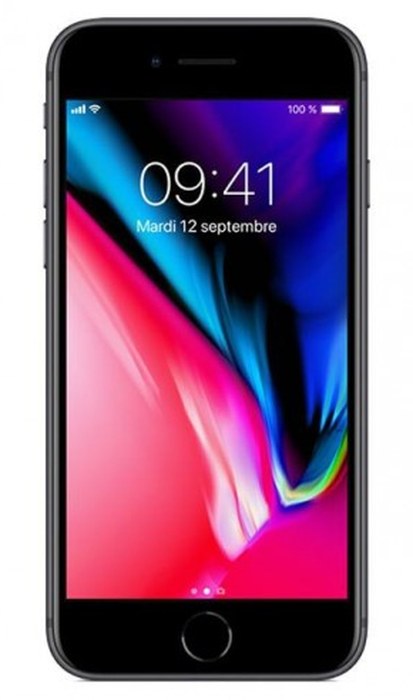 iPhone 8 2017 /Gris /4.7Pouce /2 Go /64 Go /12 Mpx