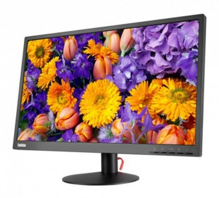 Moniteur Lenovo ThinkVision E24 23.8Pouce (61B7JAT6EU)