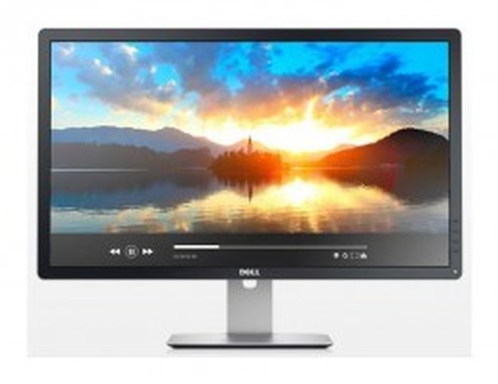 ECRAN DELL Professional P2414H