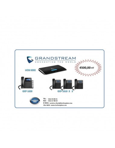 pack ipbx grandstream ucm6202 gxp16283xgxp1610