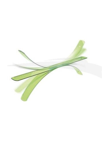 REGLE PLATE - ARDA - ELASTIKA INDESTRUCTIBLE - 30CM - Lot de 5 règles