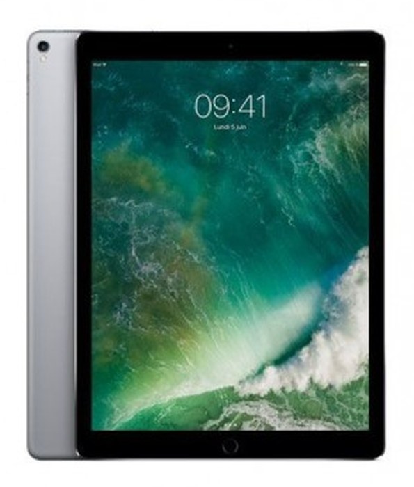 iPad Pro 12,9 /Gris /Wi-Fi + 4 G /4 Go /512 Go /12 Mpx