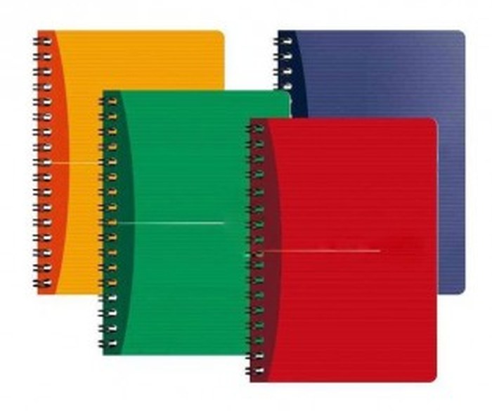 Cahier MINTRA à spirales petits carreaux 100p 21x29,7 cm