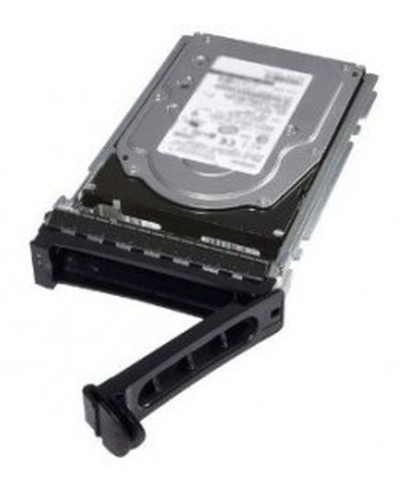Dell 300GB SAS Hot Plug 3,5 W Carrier