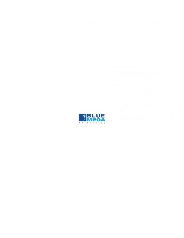 BLUEMEGA SafeCom Rule Base Printing (212010)