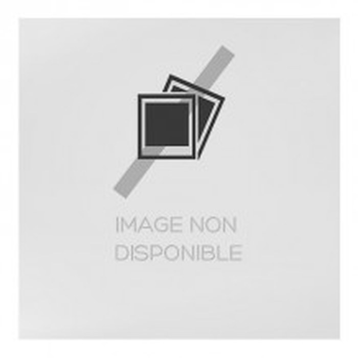 Adaptateur HP DVI vers VGA (VE053AA)