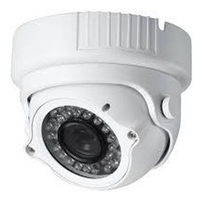 Caméra mini dôme Anti-Vandal(DM-669G)