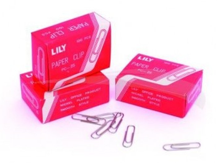 100 TROMBONES CHROMÉS RONDS - LILY - 25 mm - lot de 10 boîtes