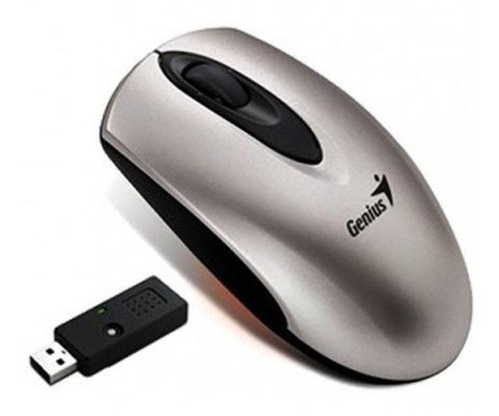 Souris GENIUS Traveler1000 sans fil /Silver