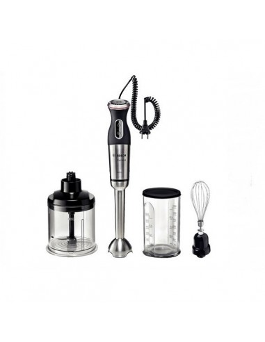 Mixeur Plongeant Bosch