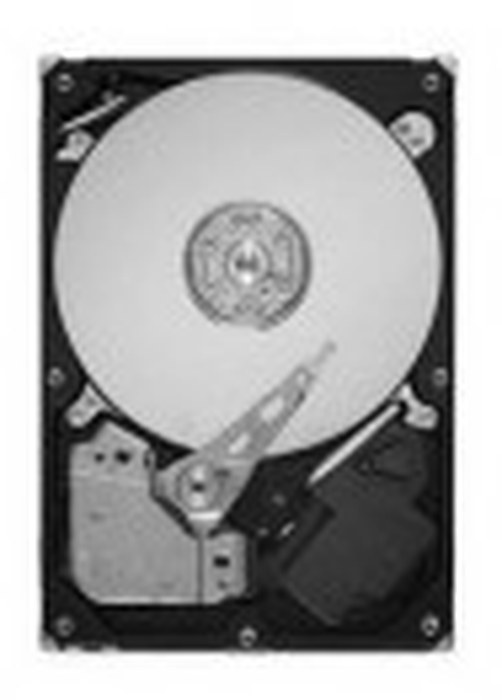 Disque dur interne Seagate 3,5\" 2 To (st2000dm001)