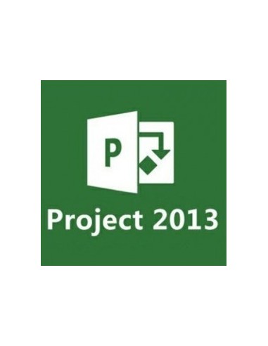 Prjct Pro 2013