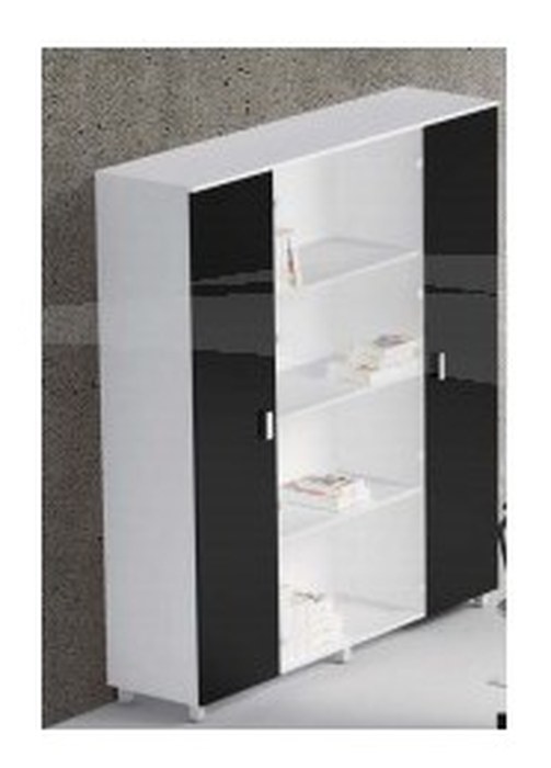 Bibliothéque avec 2 + 2 portes L 250 P 50 H 200 cm